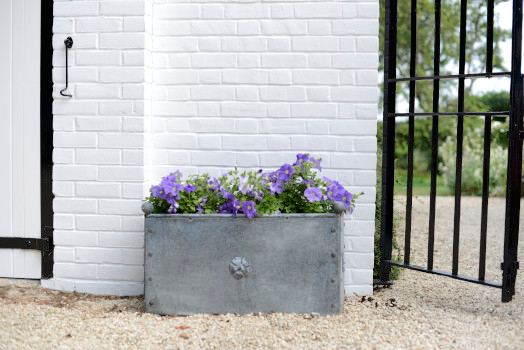 An image showing a beautiful arrangement of plants in a galvanised steel planter, highlighting the benefits of why choose a galvanised steel planter".